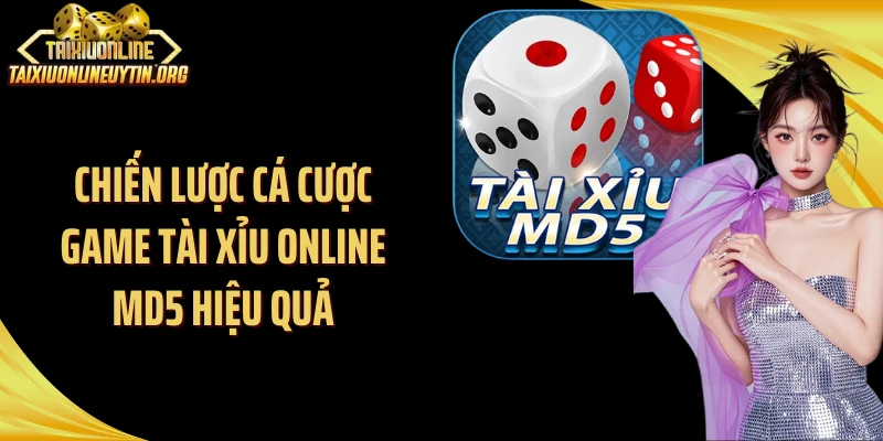 Chiến lược cá cược game tài xỉu online MD5 hiệu quả