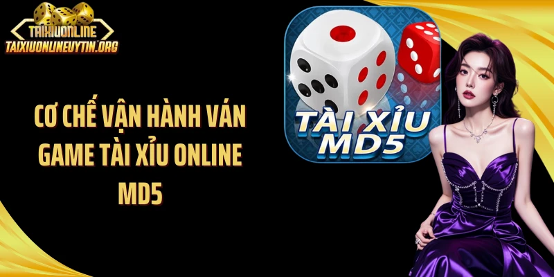Cơ chế vận hành ván game tài xỉu online MD5
