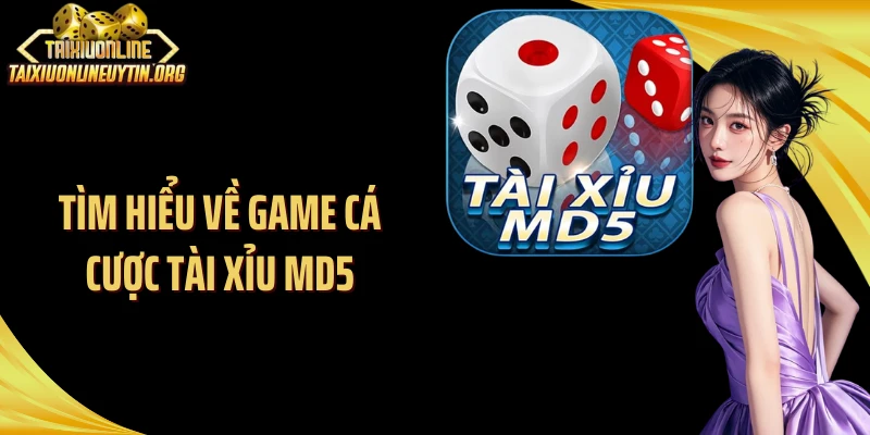 Tìm hiểu về game cá cược tài xỉu MD5